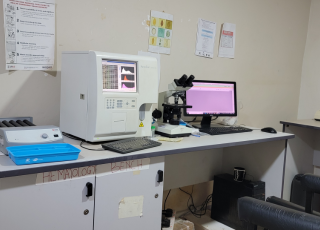 lab